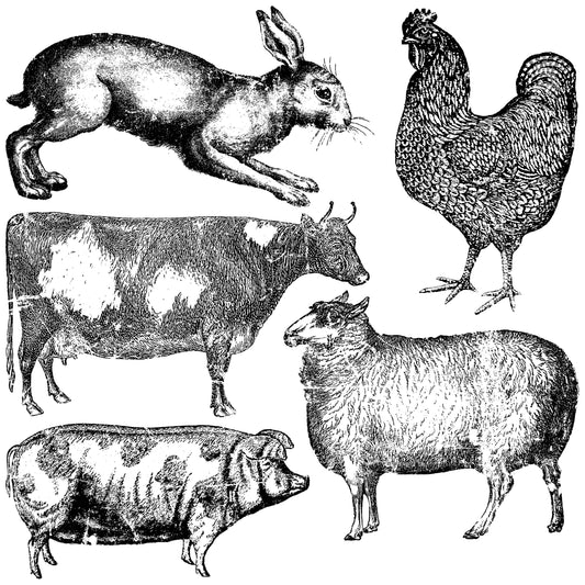 Farm Animals 12x12 Decor Stamp